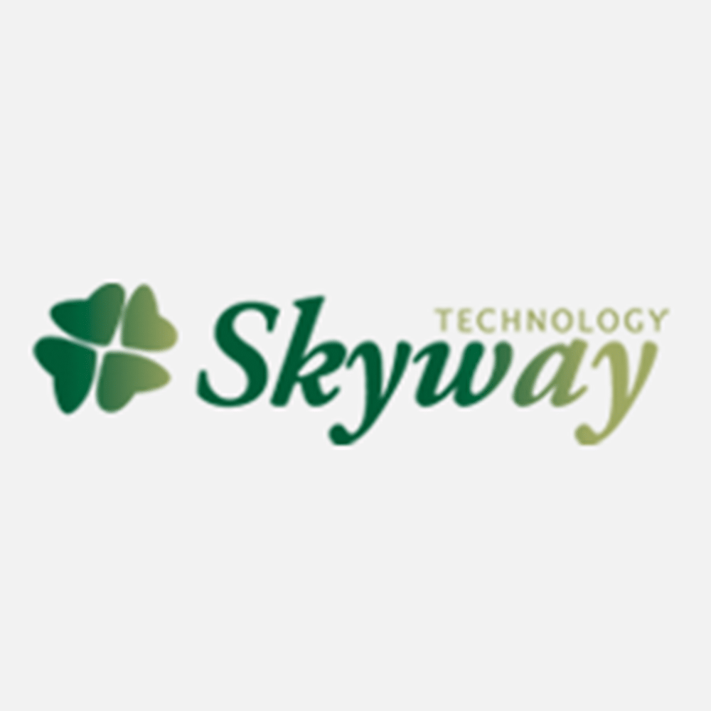 Skyway